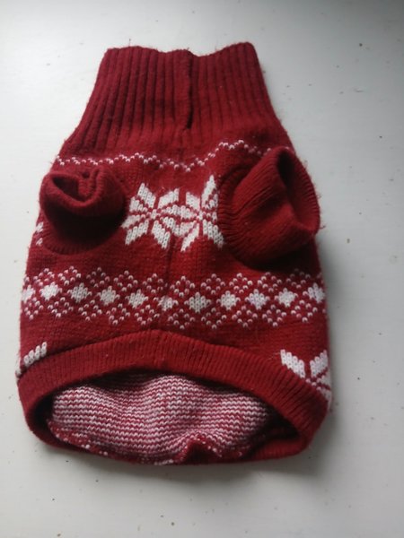 galleryimage 2 zoomed in