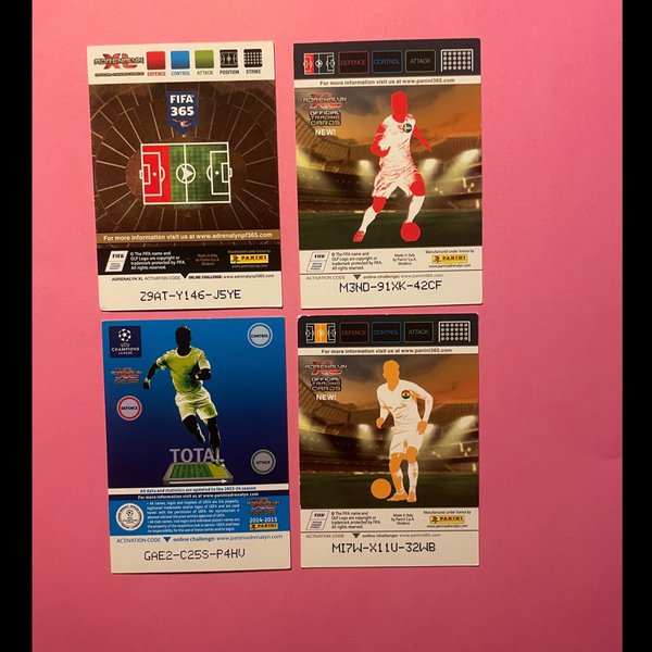 galleryimage 2 zoomed in