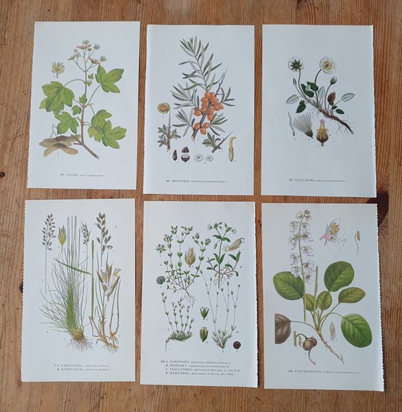 galleryimage 2 zoomed in