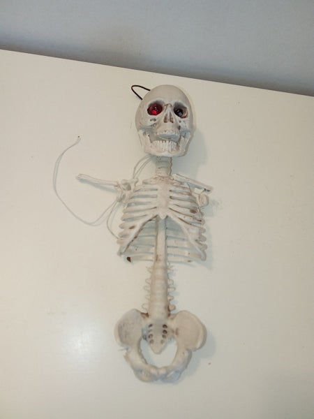 galleryimage 2