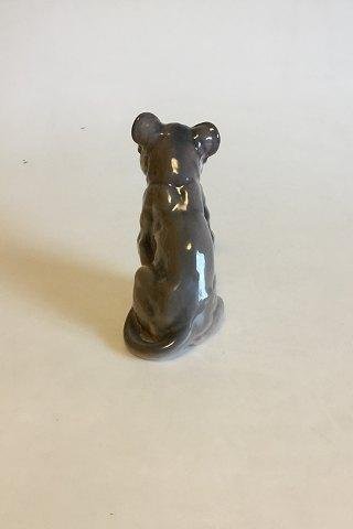 galleryimage 3