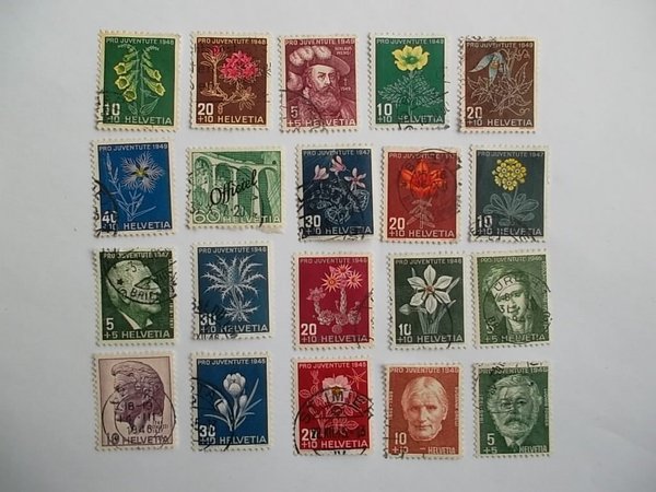 galleryimage 2
