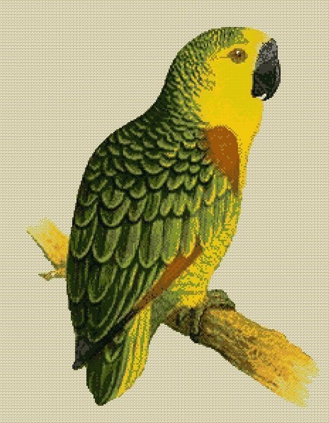 galleryimage 2 zoomed in