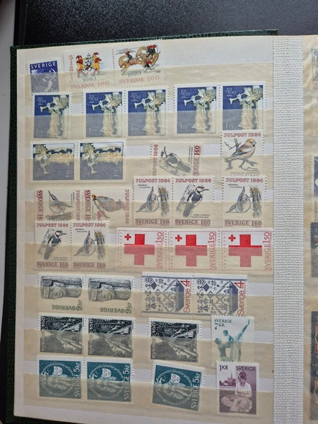 galleryimage 2