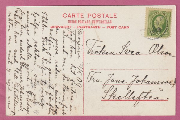 galleryimage 2 zoomed in