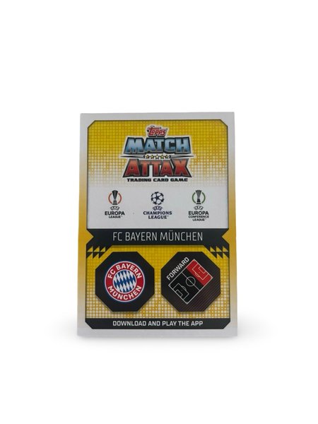 galleryimage 2 zoomed in