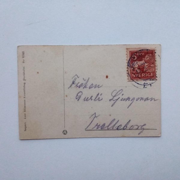 galleryimage 2 zoomed in