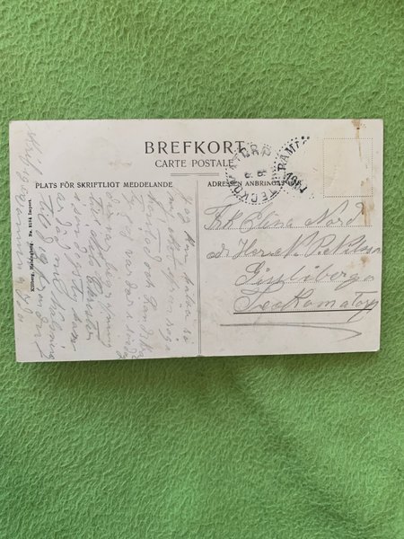 galleryimage 2 zoomed in