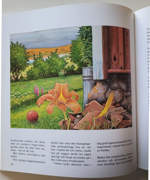 galleryimage 3