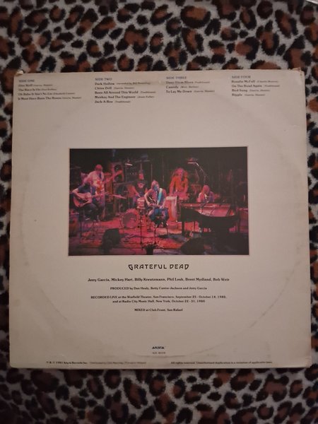 galleryimage 2 zoomed in