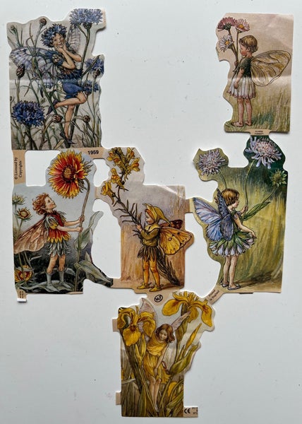 galleryimage 2