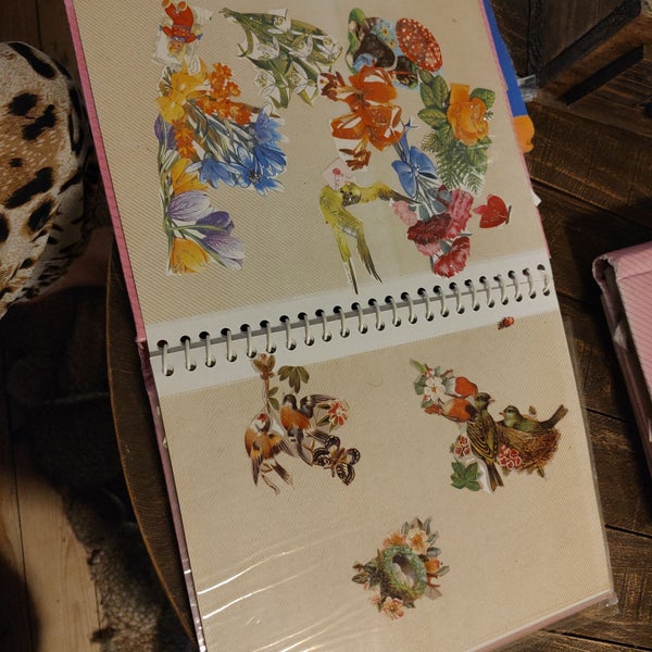 galleryimage 3