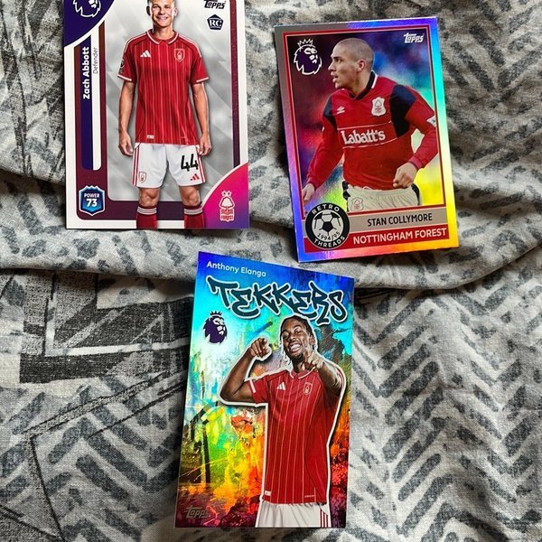 galleryimage 2 zoomed in