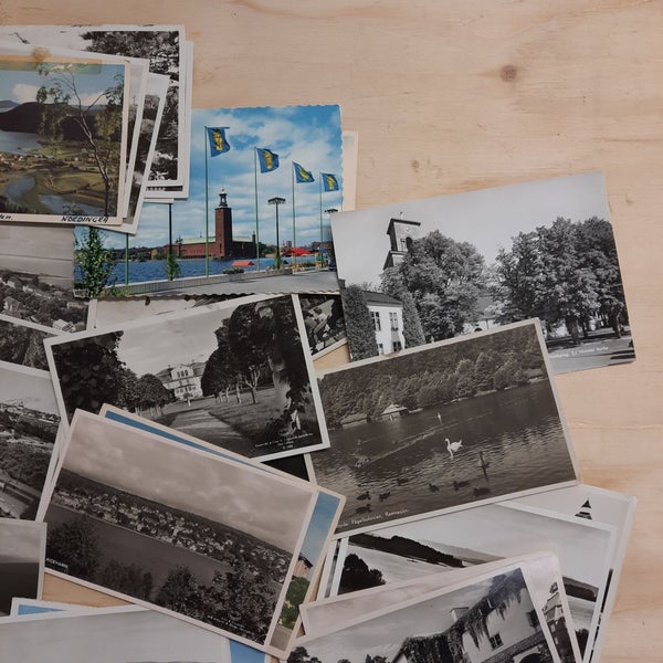 galleryimage 3