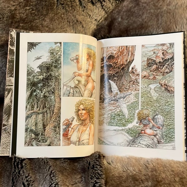 galleryimage 3