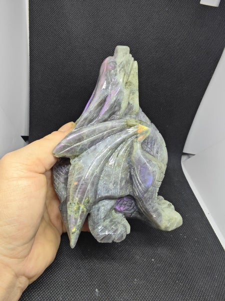 galleryimage 3