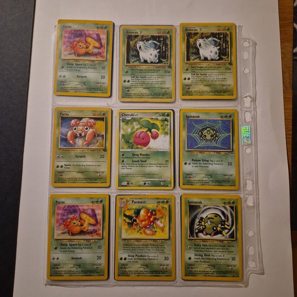 galleryimage 2 zoomed in