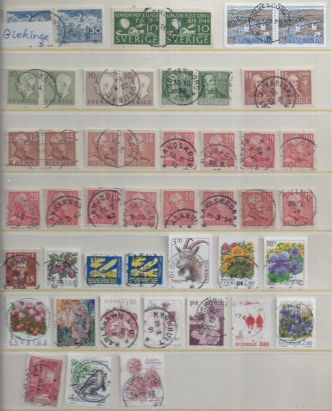 galleryimage 3