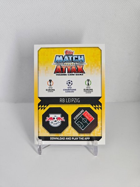 galleryimage 2 zoomed in