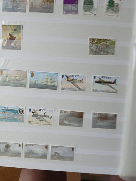 galleryimage 3