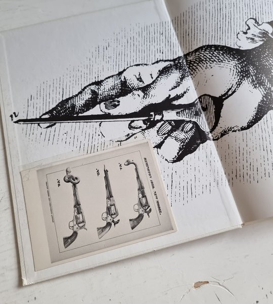 galleryimage 3