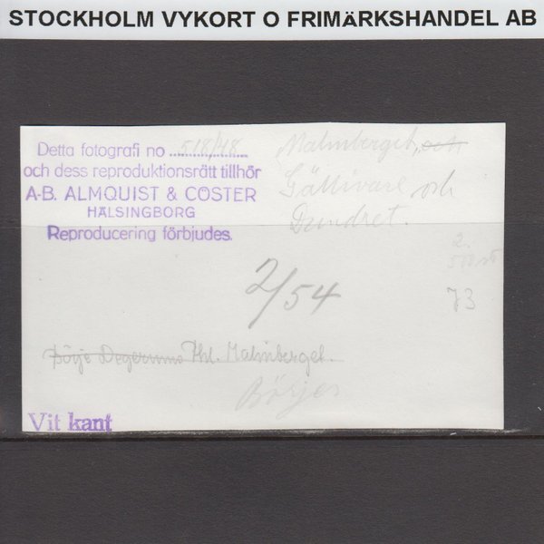 galleryimage 2 zoomed in