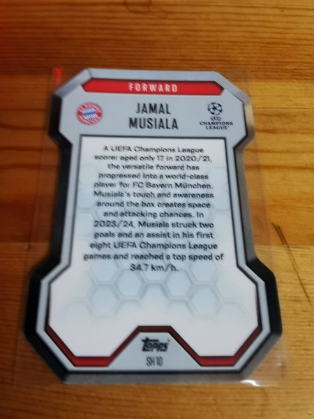 galleryimage 2 zoomed in