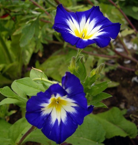 galleryimage 3