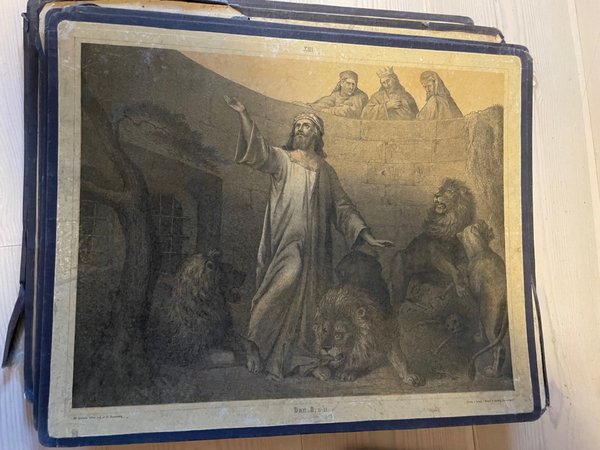 galleryimage 3
