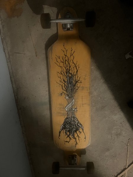 galleryimage 2 zoomed in