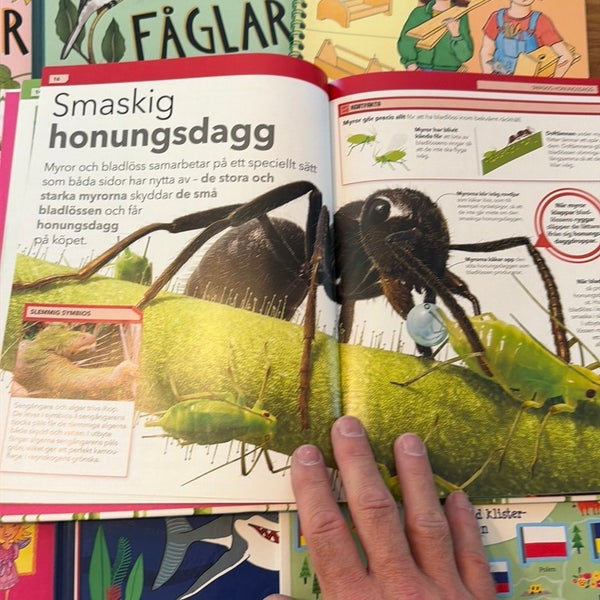 galleryimage 3