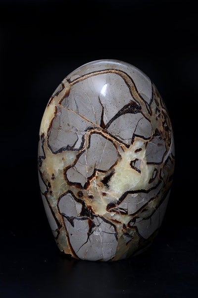 galleryimage 3