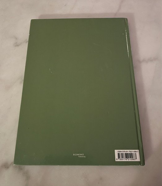 galleryimage 2 zoomed in