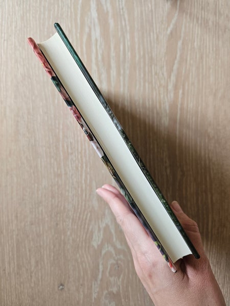 galleryimage 3