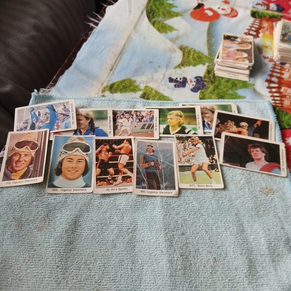 galleryimage 3