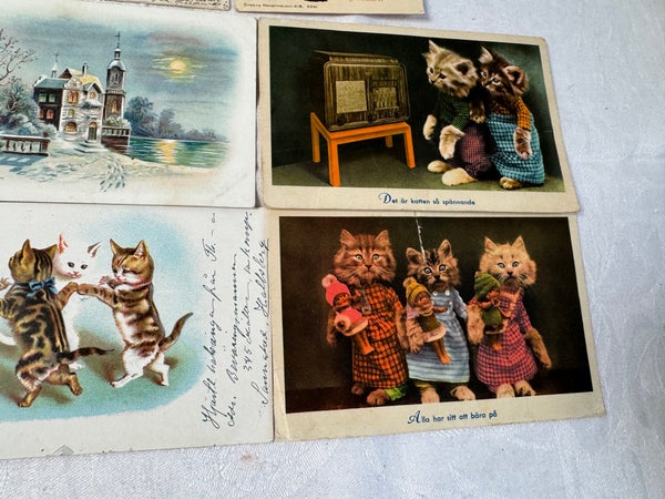 galleryimage 3