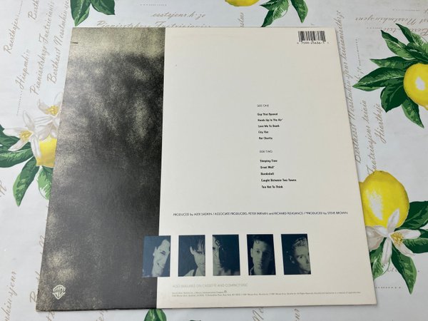 galleryimage 2