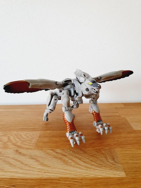 galleryimage 3