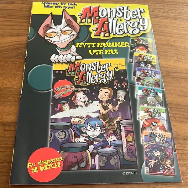 galleryimage 2 zoomed in