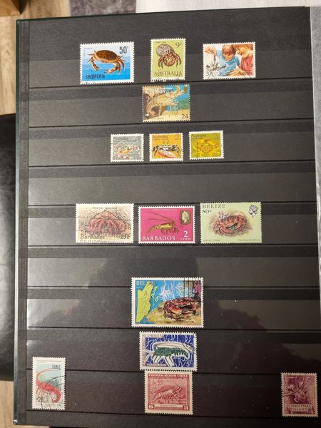 galleryimage 2 zoomed in