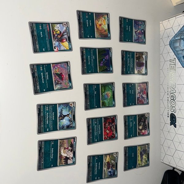 galleryimage 2