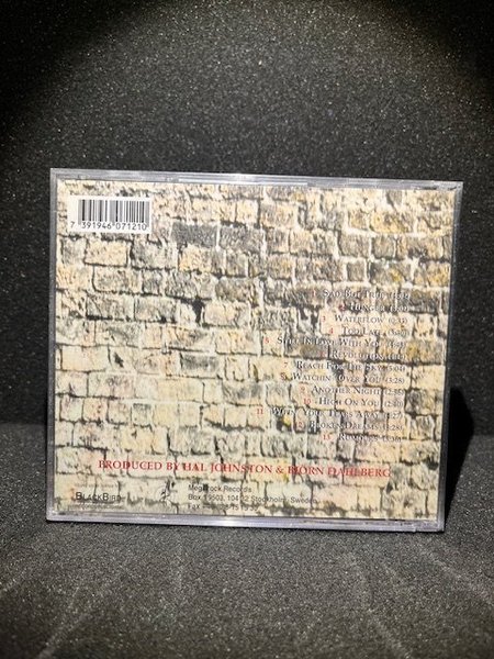 galleryimage 2 zoomed in