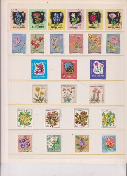 galleryimage 3