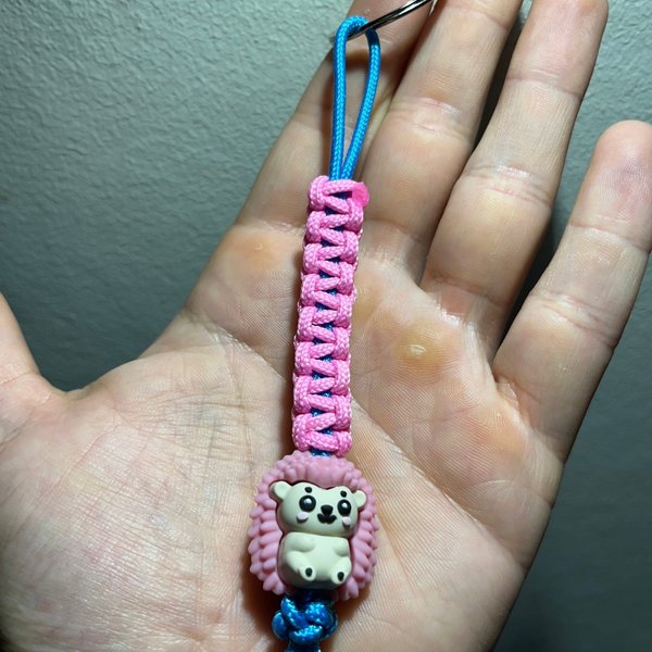 galleryimage 2 zoomed in