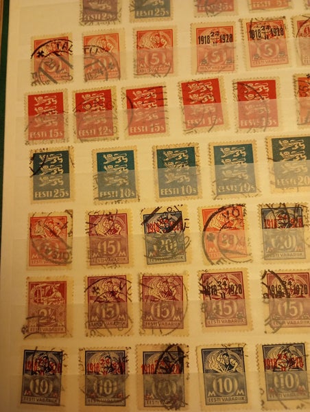 galleryimage 3