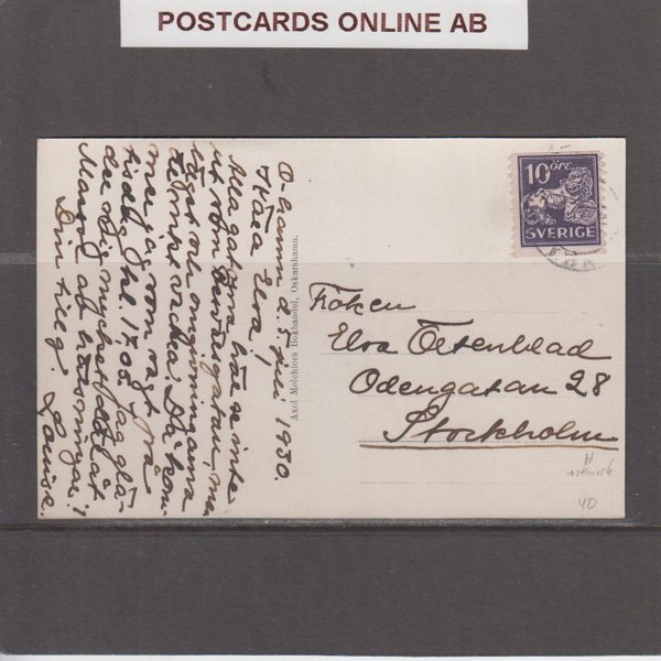 galleryimage 2 zoomed in