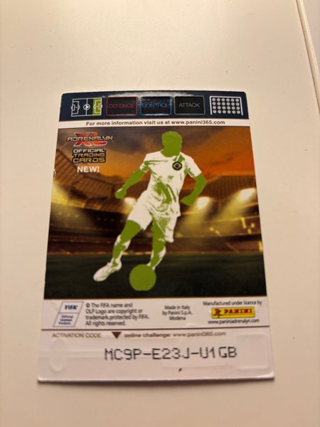 galleryimage 2