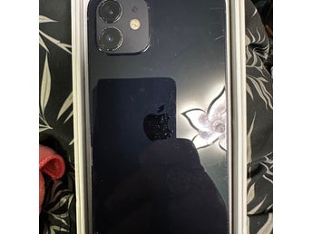 iPhone 12 fin