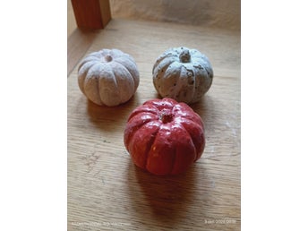 Dekororations pumpor 3st / halloween