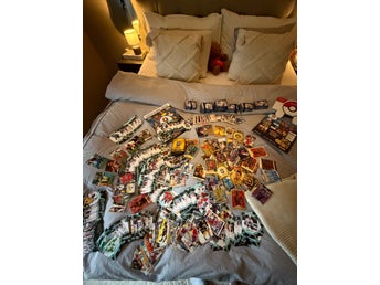 Pokémon samling